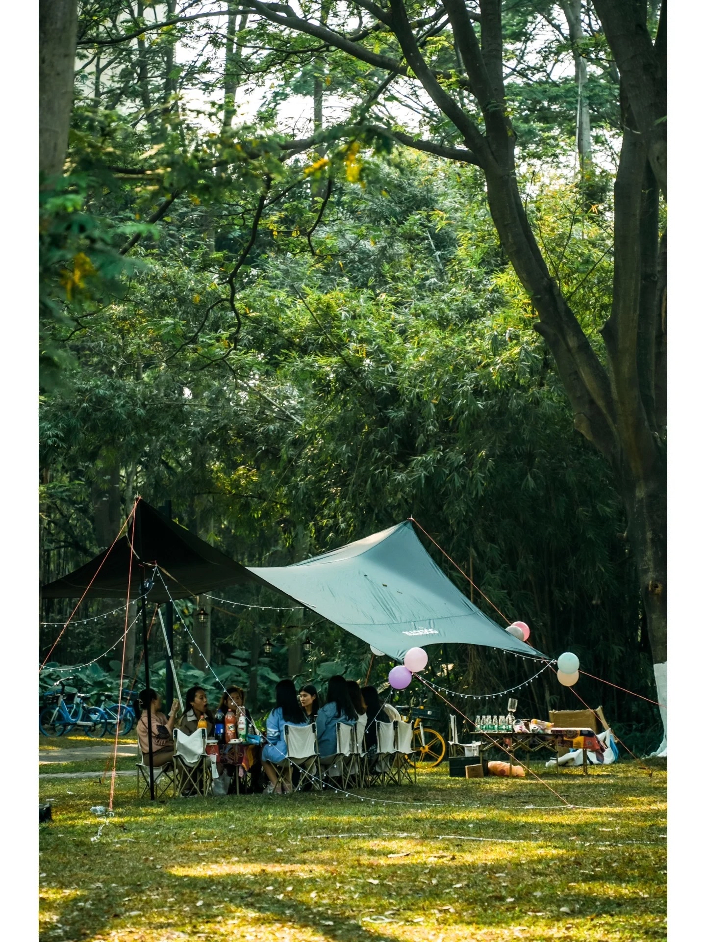 广州春季露营·户外野餐赏日落的免费公园推荐！