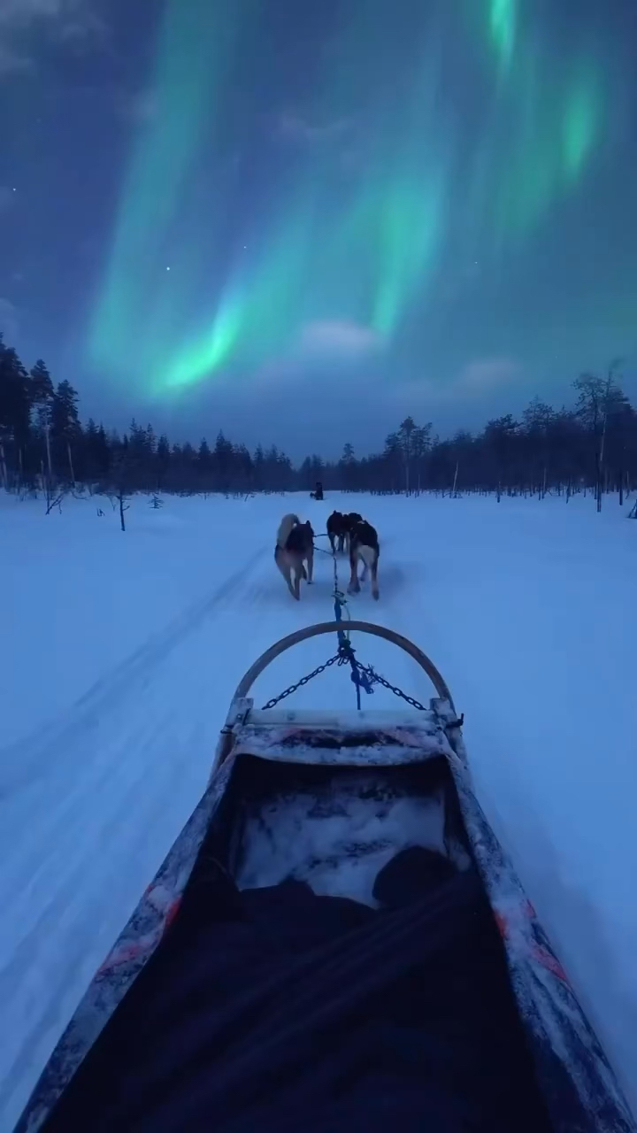 这个冬天一起去芬兰看极光吧 看到极光的人梦想都会实现哦  来一场满足你所有童话愿望的旅程