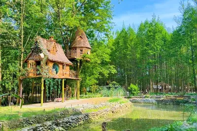 FoxRiver狐河·渡边森林营地
