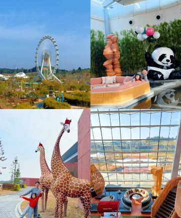 成都世园瀑布雅高美憬阁酒店图片