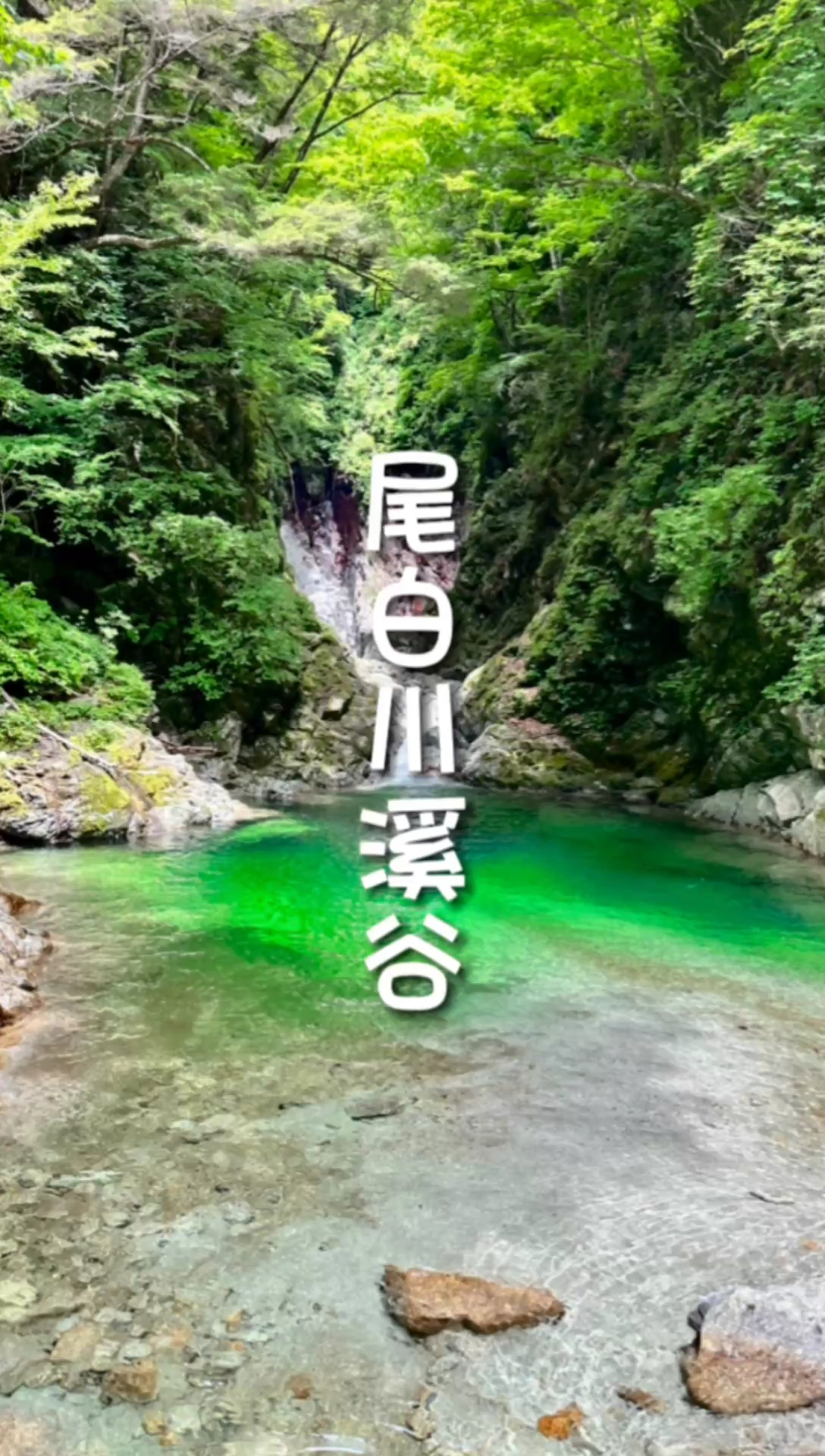 旅行Vlog｜尾白川渓谷：吊桥与瀑布的奇幻邂逅