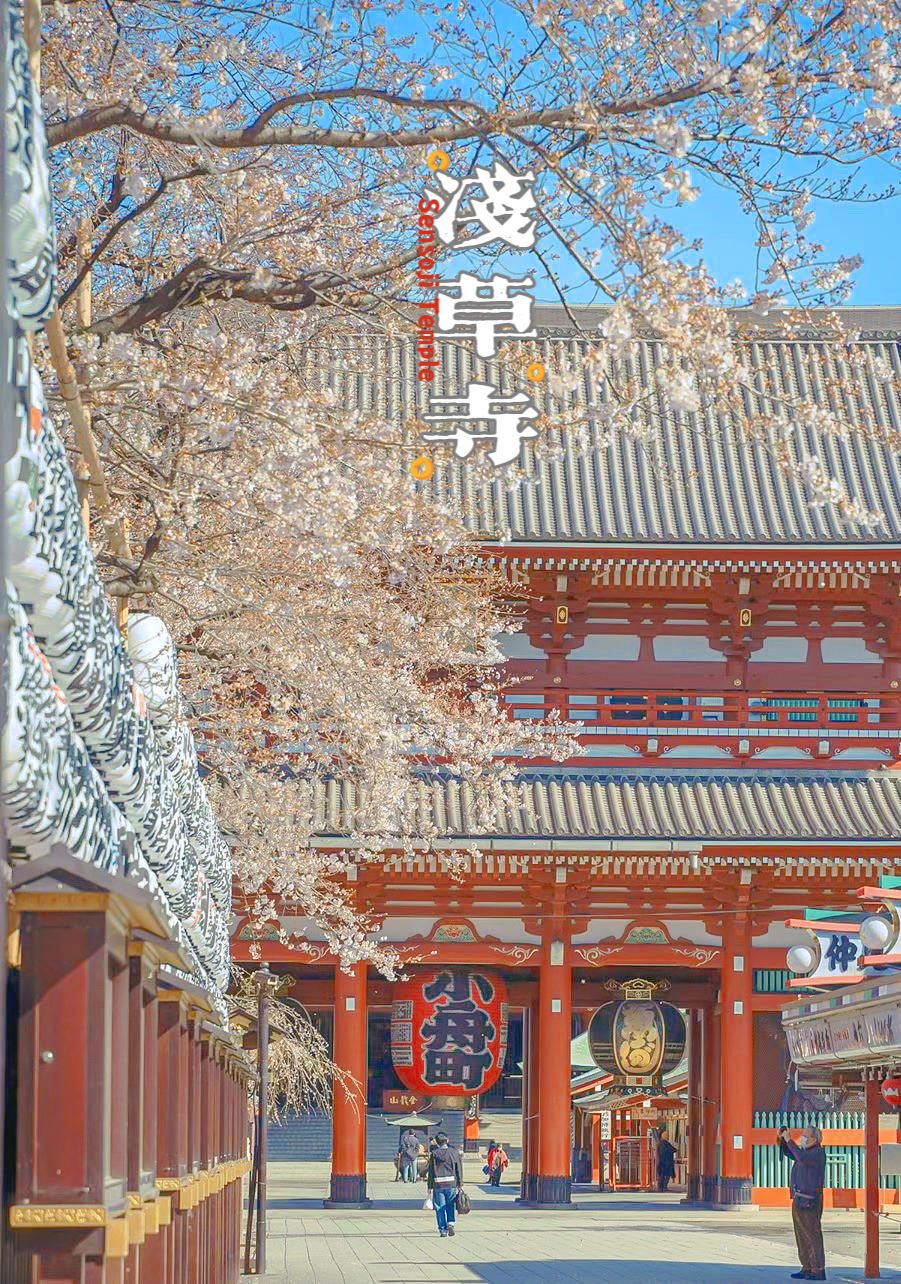 江户三大祭 东京香火最鼎盛--浅草寺 不一样的夜景