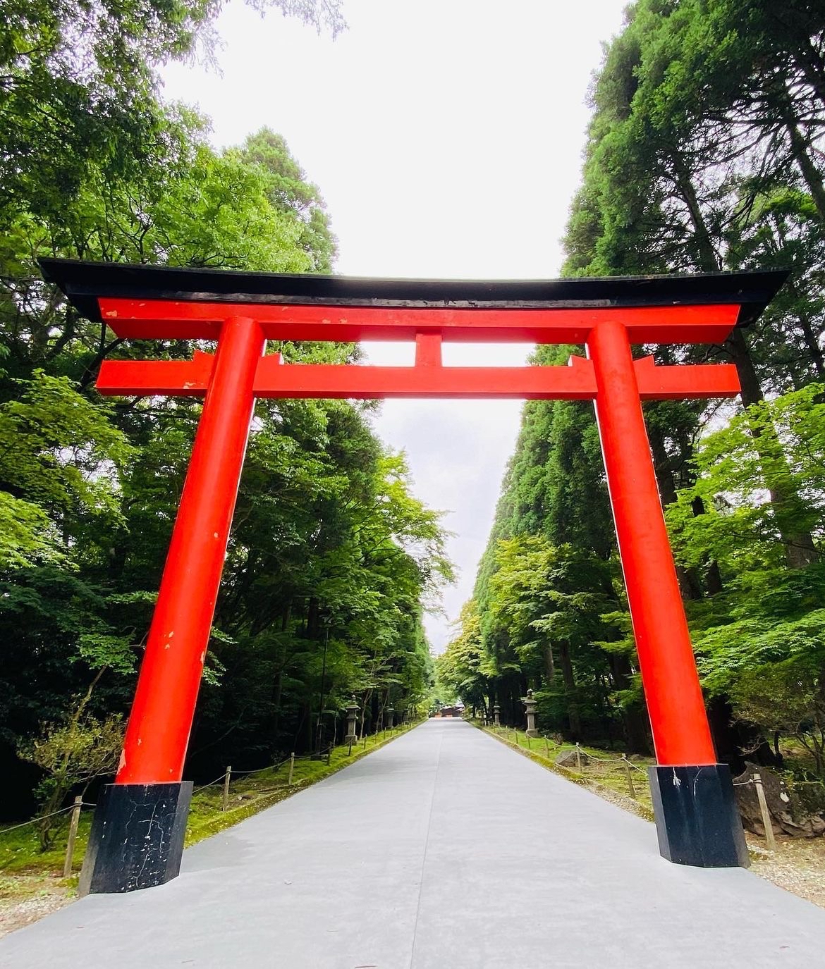 雾岛神宫（Kirishima Jingu）是位于日本鹿儿岛县的一个著名神社，具有深厚的历史和文化价值
