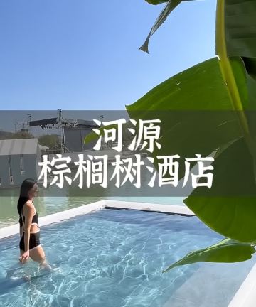 河源春沐源小镇·棕榈树酒店图片