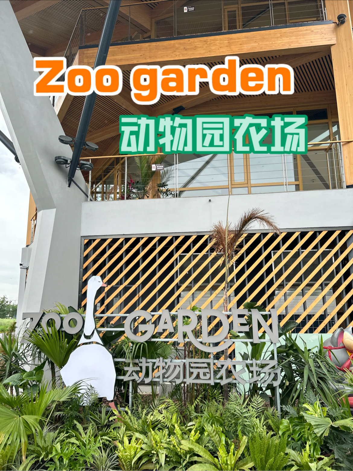 Zoo Garden置身原始森林的咖啡餐厅