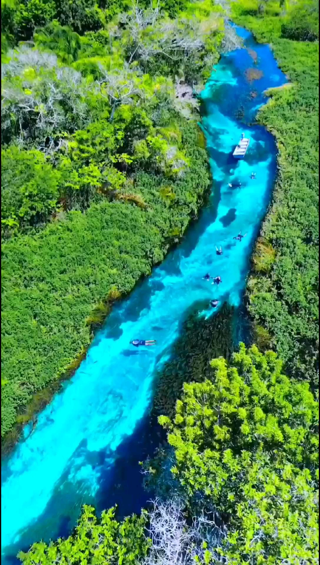 博尼图：浮潜圣地……