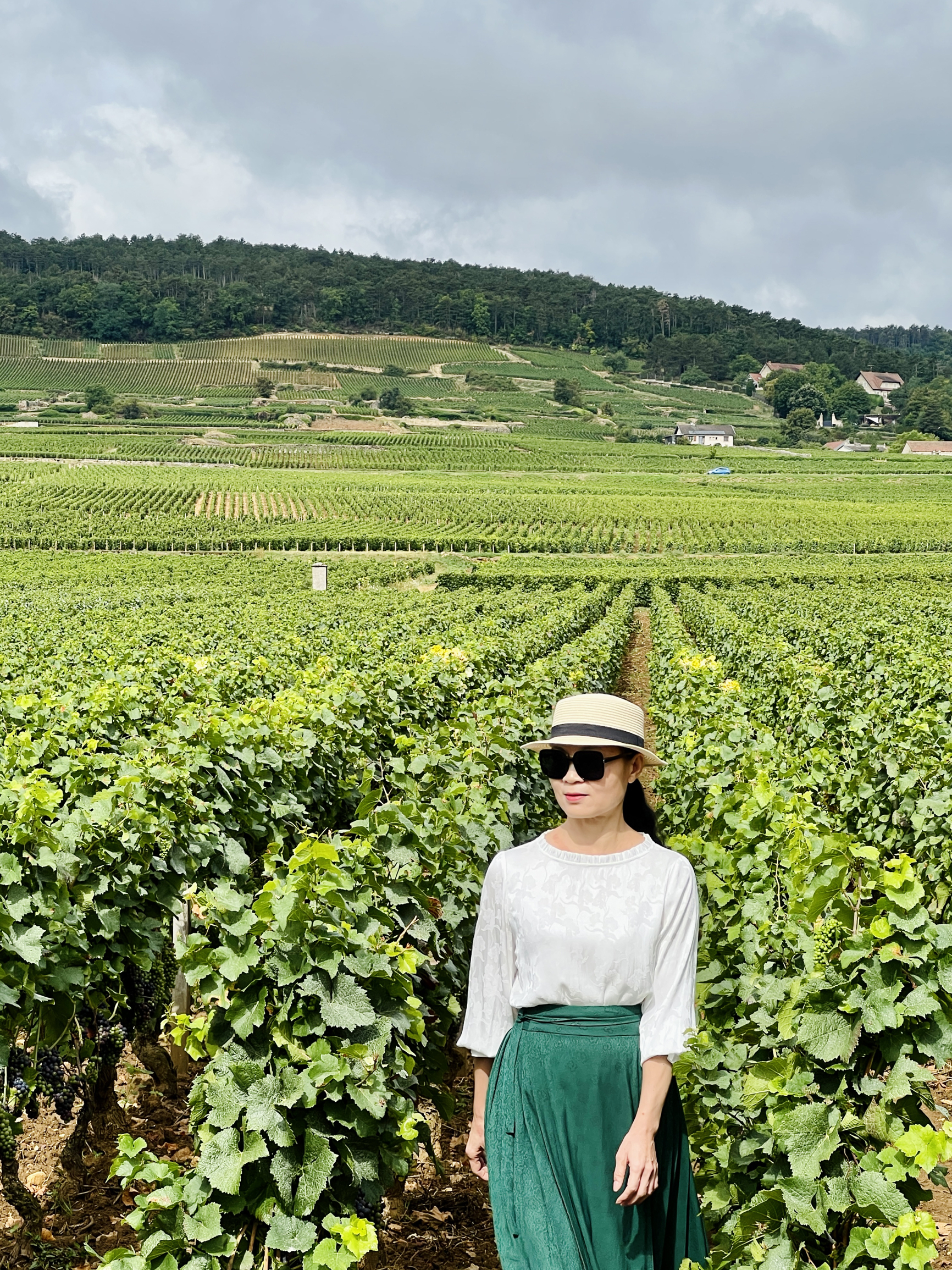 法国最美自驾线路之一勃艮第顶级葡萄美酒之路
