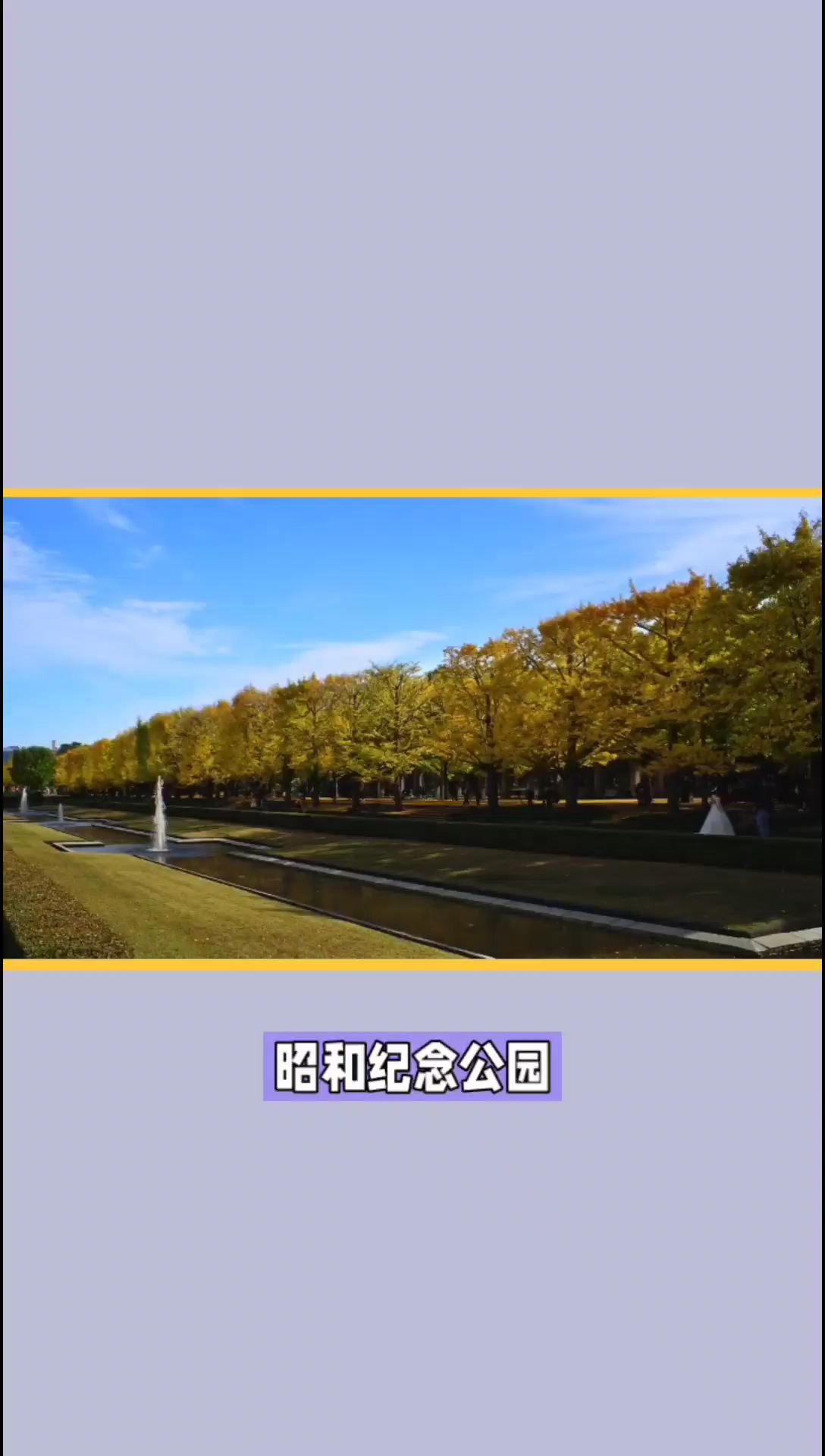 昭和纪念公园-东京赏红叶银杏胜地