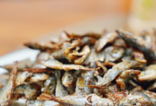 力哥地道海南菜·联谊文昌鸡老店美食图片