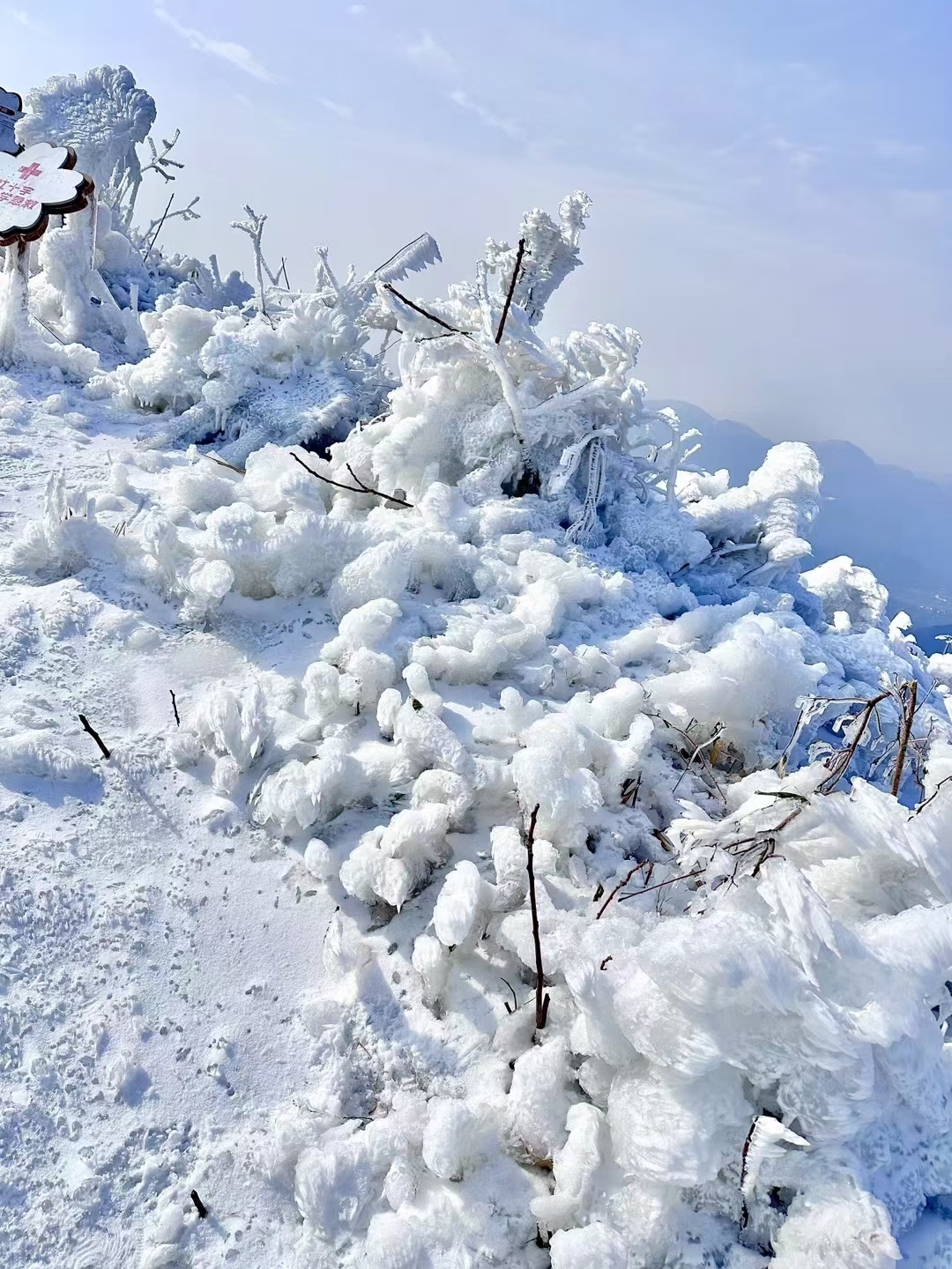 #打卡最美雪景 生活融入自然 感谢大自然的馈赠