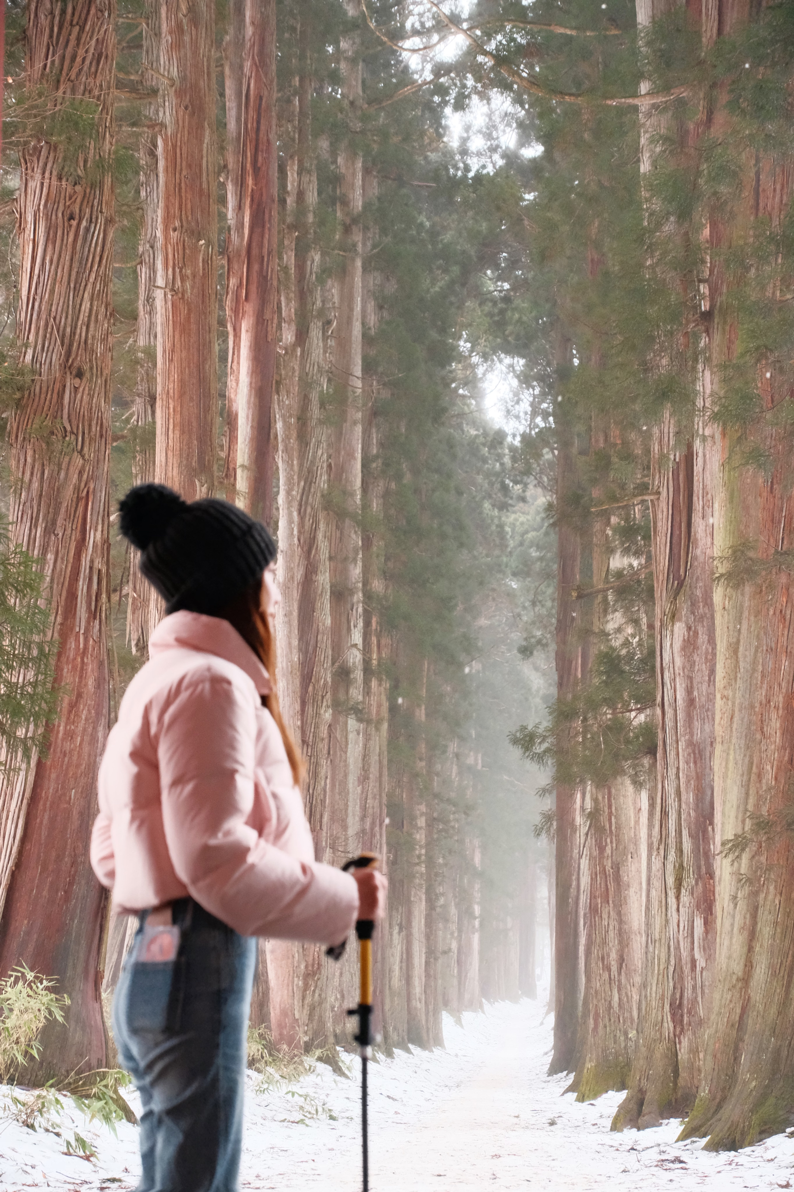 🇯🇵日本徒步 | 去长野走进巨人之森