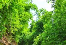 龙门步道景点图片