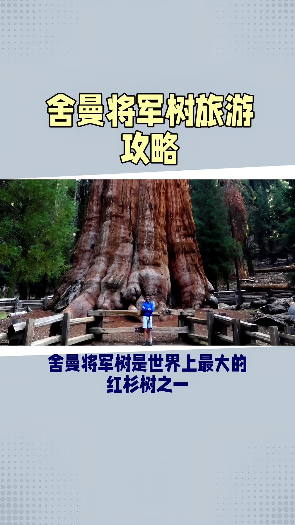 舍曼将军树：地球最大红杉，旅游必去之地