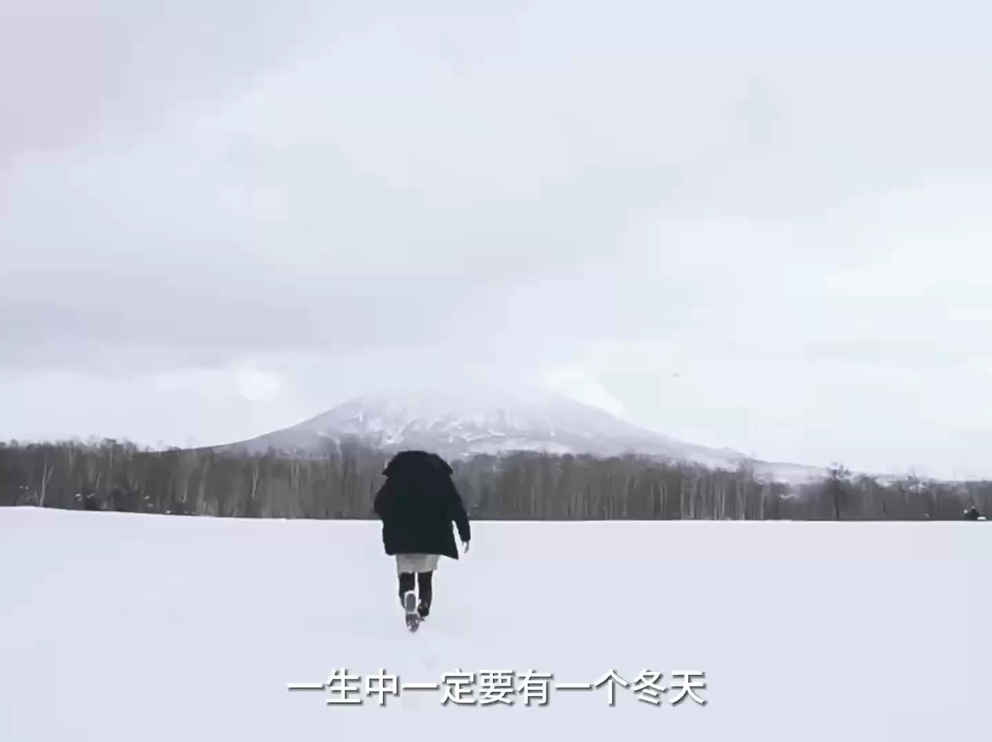 冬天的北海道是多少人心神往之的滑雪胜地