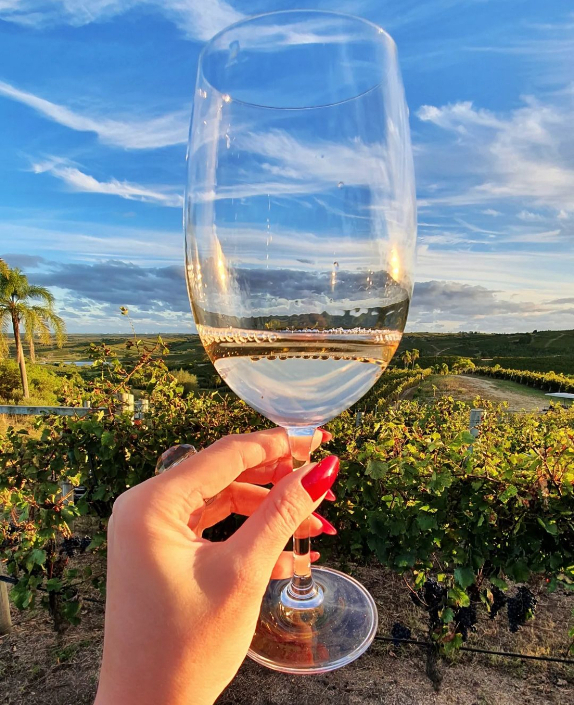 乌拉圭马尔多纳多 - 海岸葡萄酒区，尽享浓郁红酒与美景