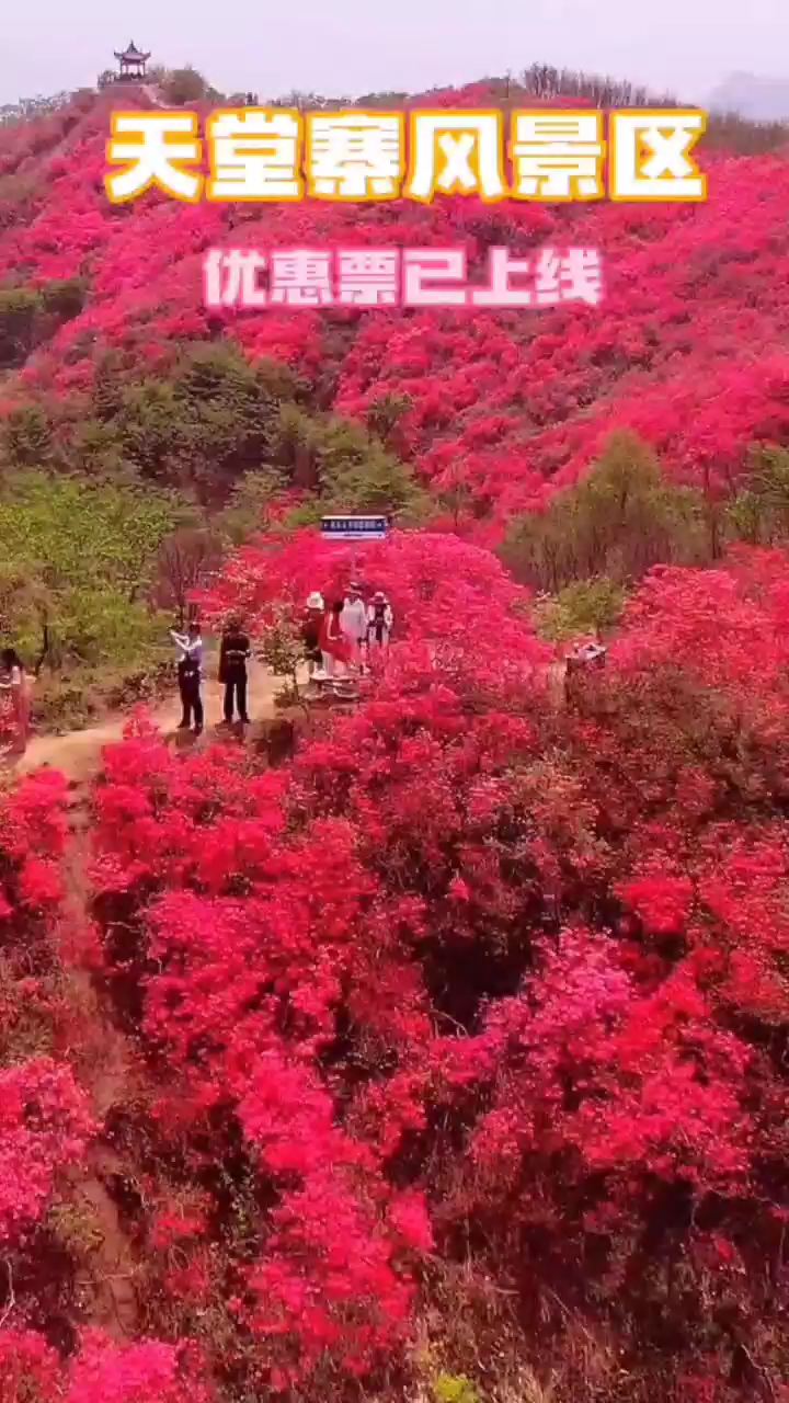 大自然的自然氧吧，天堂寨