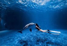 9号Ba Ngu岛景点图片