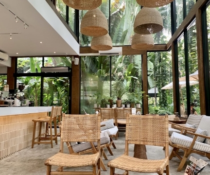 MiVana Organic Forest Coffee