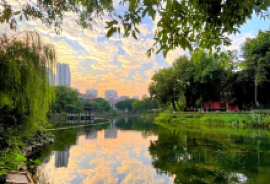 沙坪公园景点图片