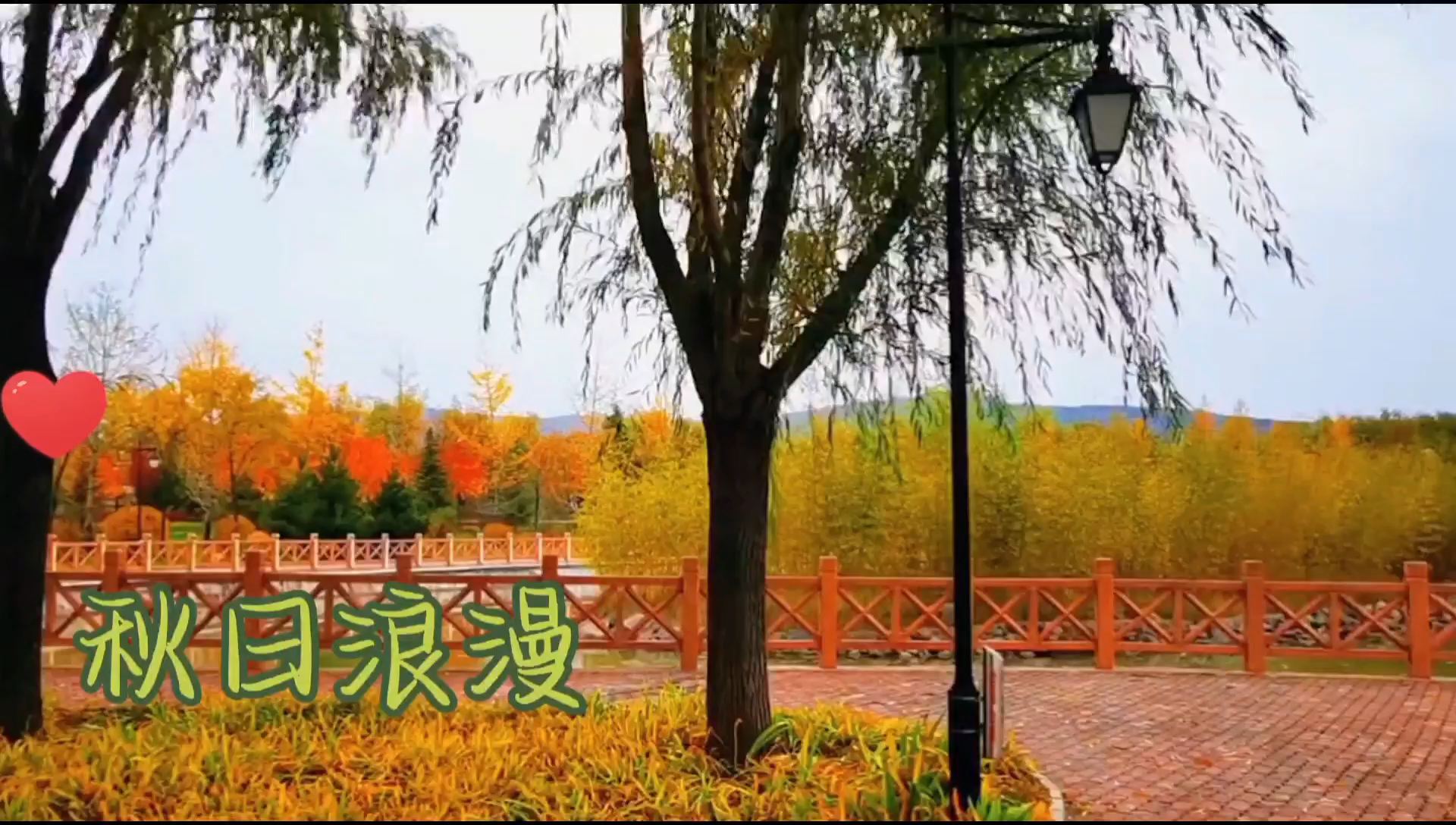 这么美的景色，要不要在这个秋季来逛逛轩辕湖呢