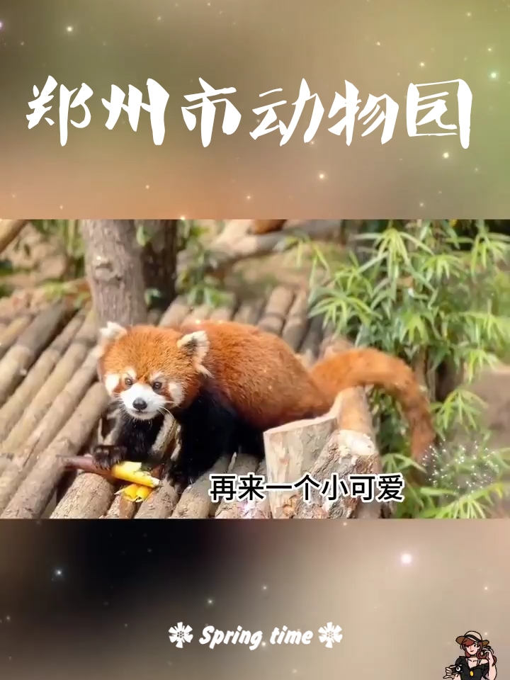郑在旅行----没有大熊猫的省会动物园（郑州市动物园