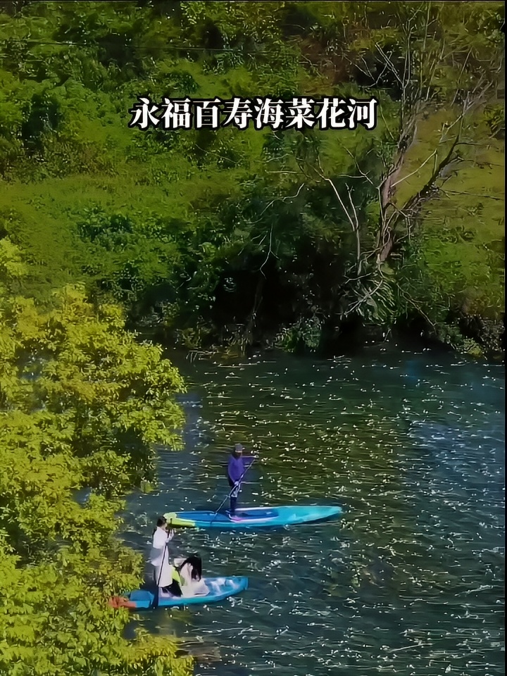 在开满花的河里畅游，感谢桂林玩家们给予我们如此视觉盛宴，欢迎大家都到我们桂林永福百寿镇来，赏花赏景。