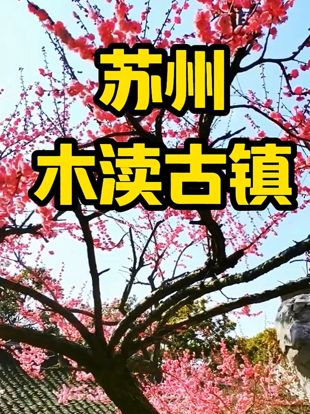 🌸 踏上苏州木渎古镇之旅，探索千年文化遗迹！