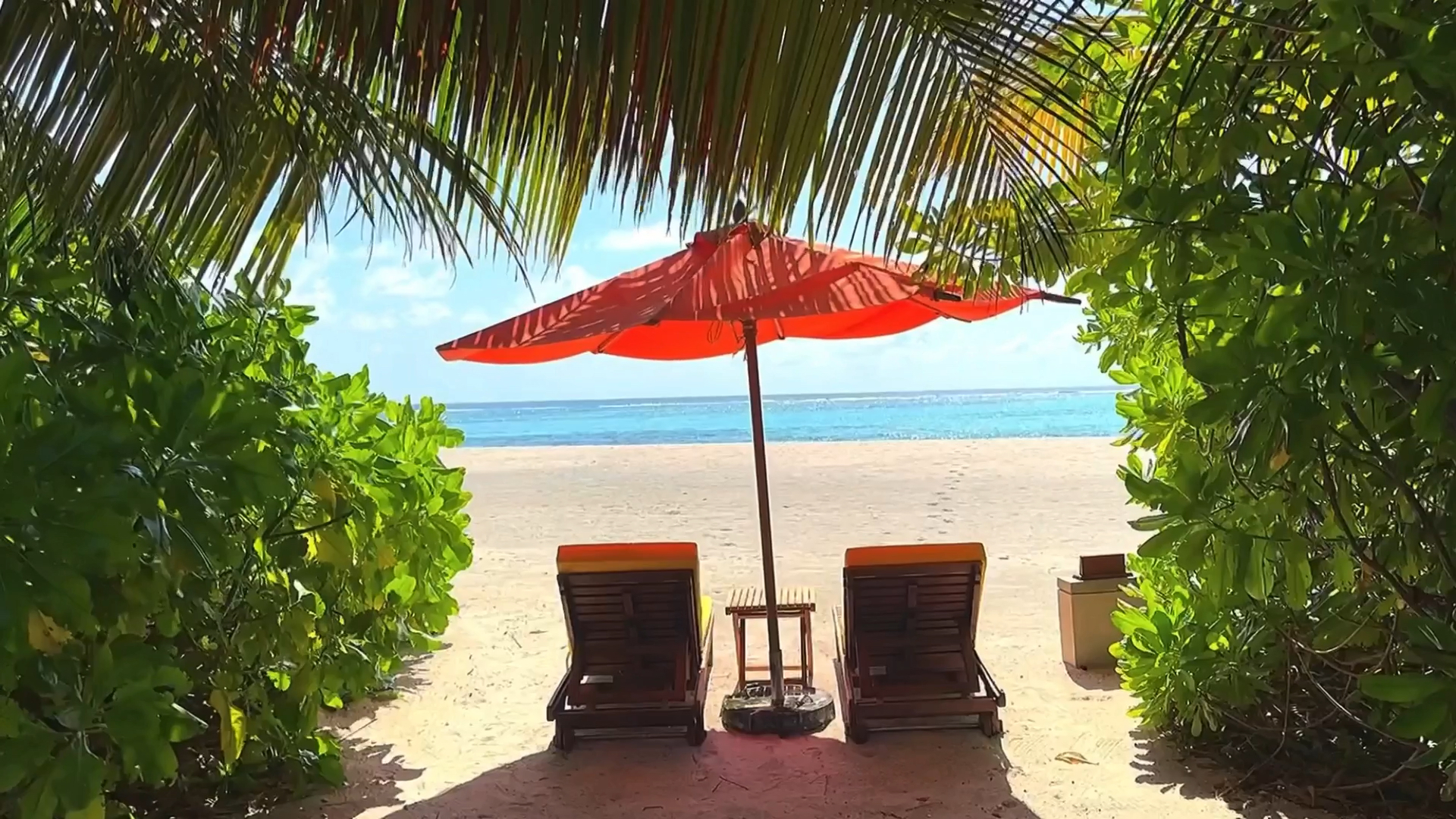 马尔代夫薇拉瓦鲁岛悦椿～超高性价比的海滨泳池别墅好美！