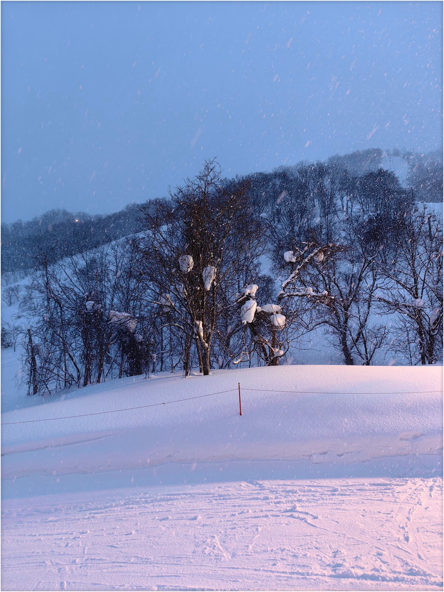 北海道二世古滑雪场