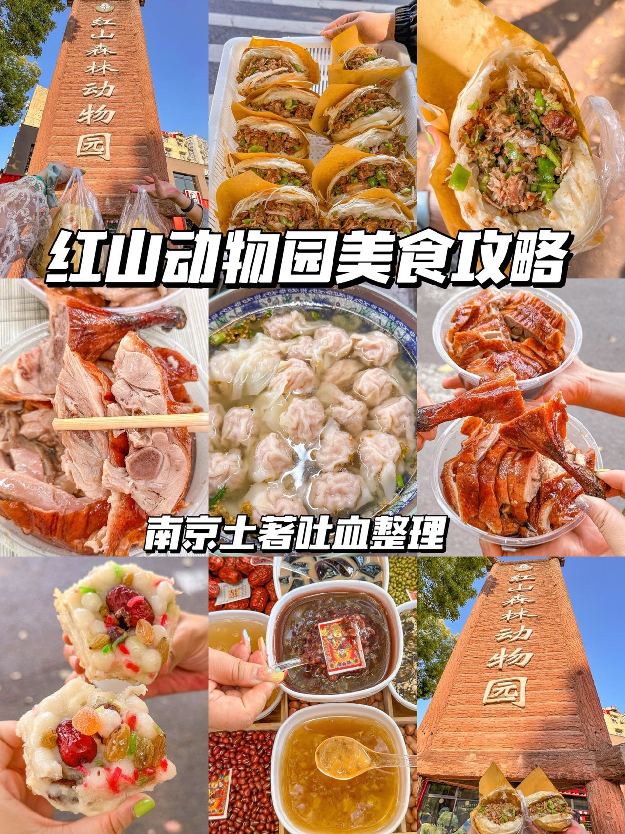 红山动物园美食攻略‼️南京土著吐血整理✌️ 最近南京红山动物园不要太🔥，绝对是来南京必打卡景点✌️其