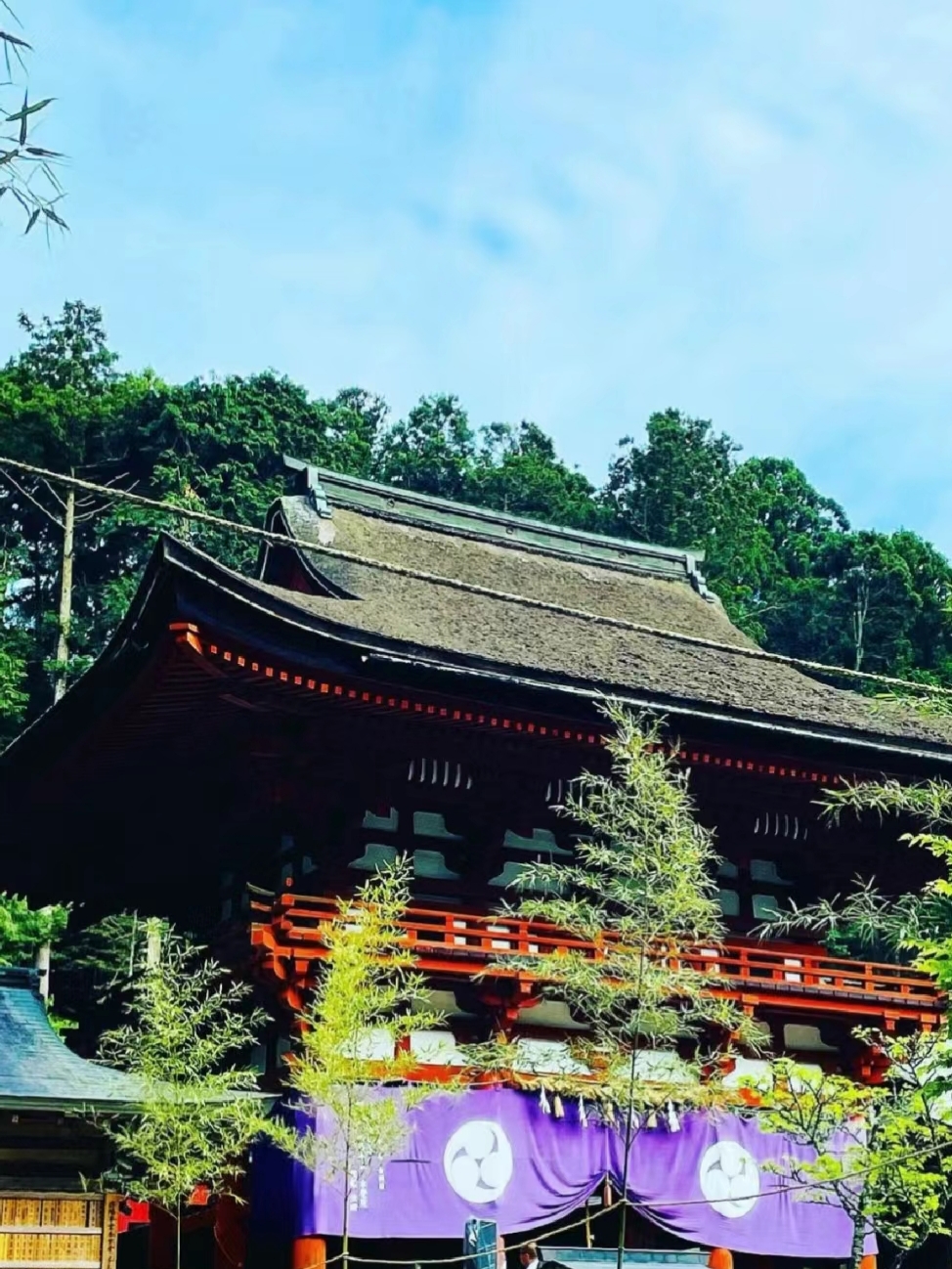 和歌山高野山奥之院风景