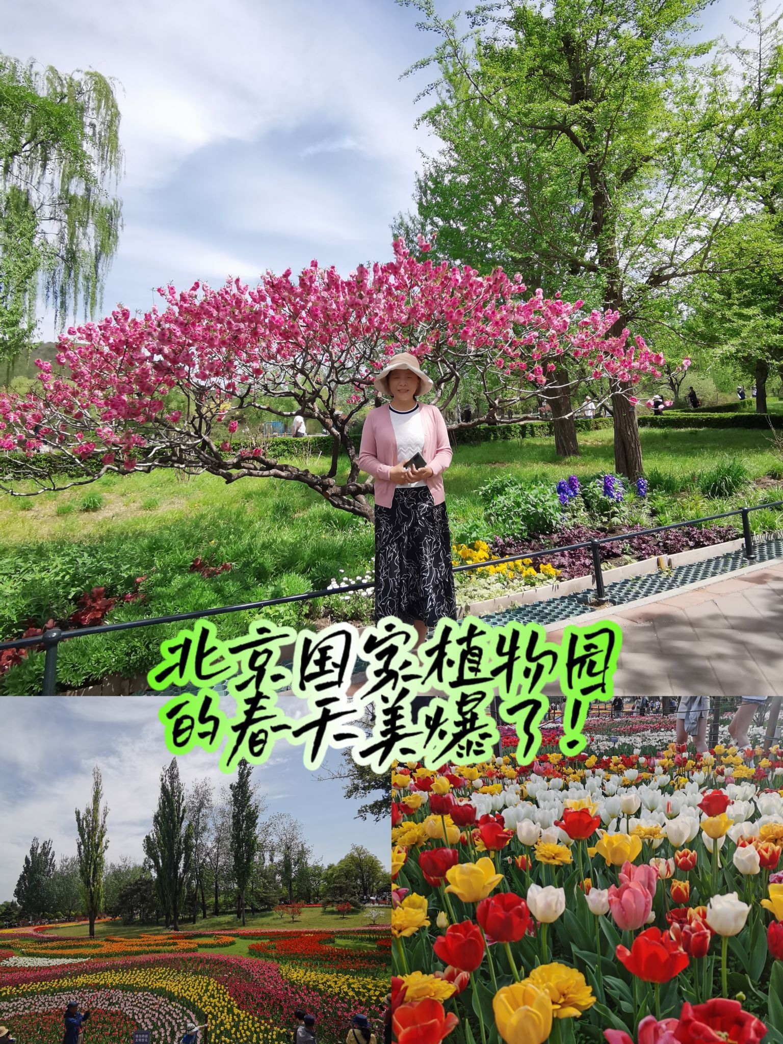 北京国家植物园的春天美爆了
