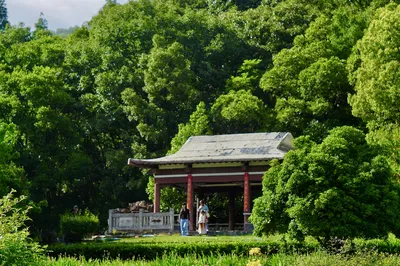 南京中山植物园-北园