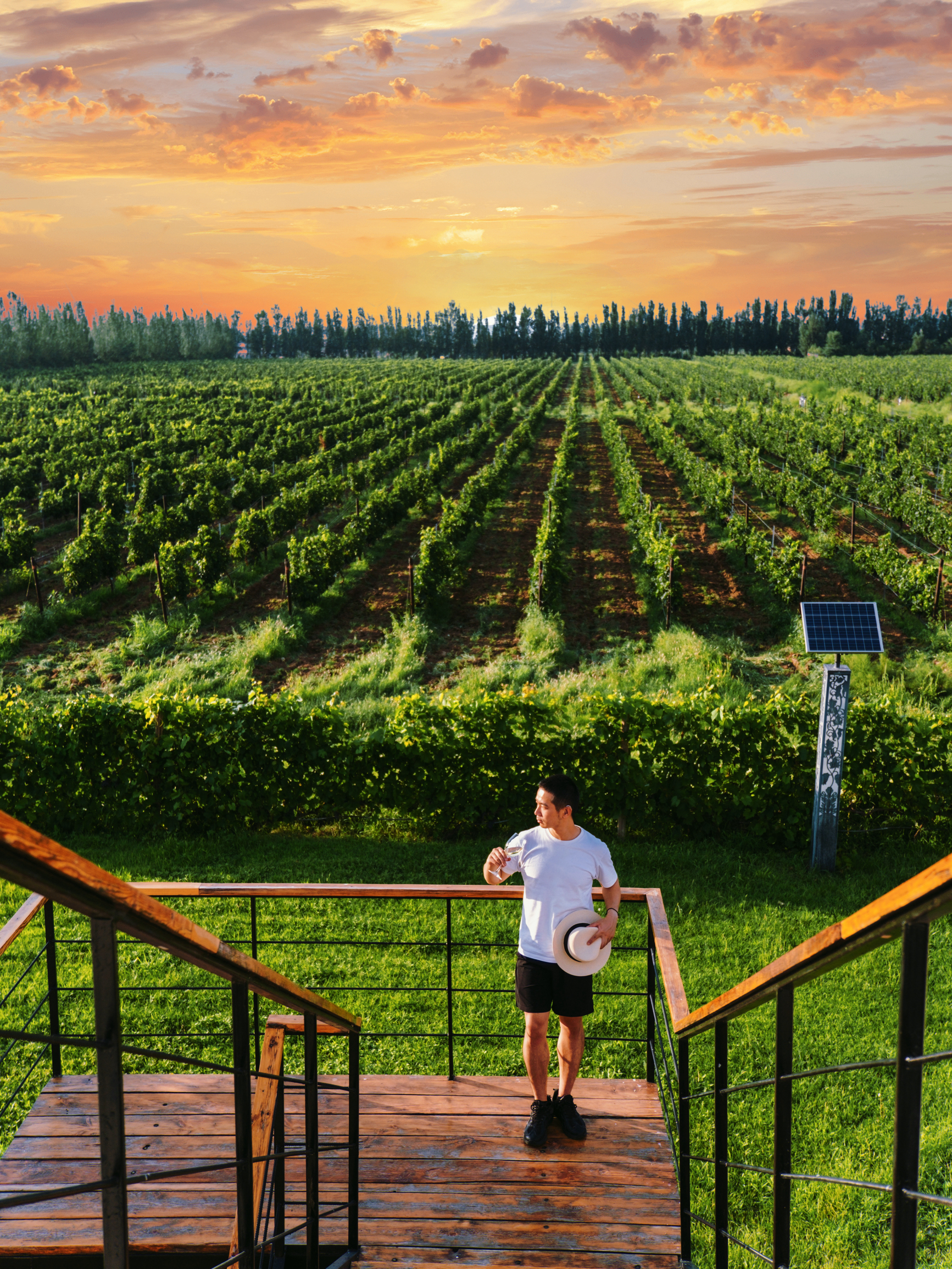 迦南酒业餐厅图片