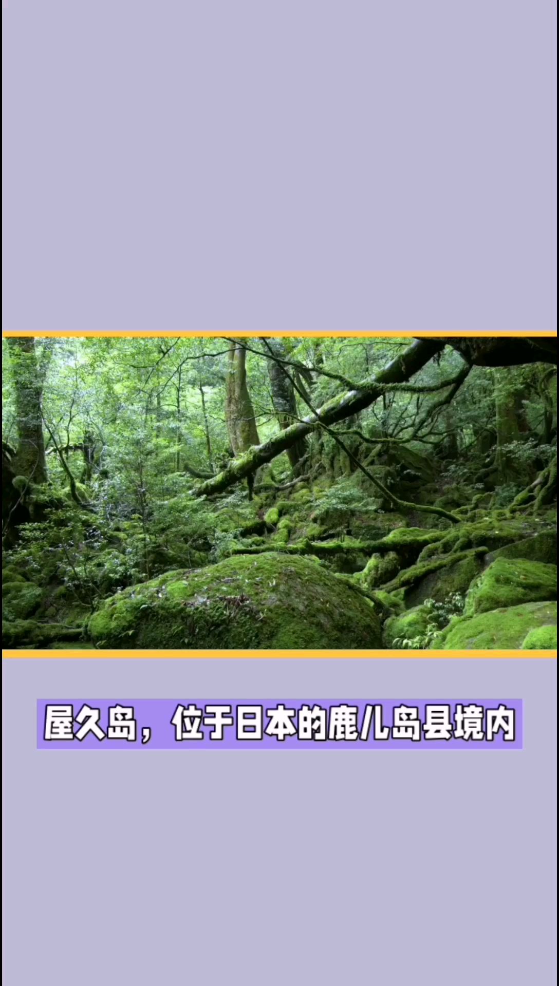 屋久岛：探寻日本南方最大岛屿的神秘