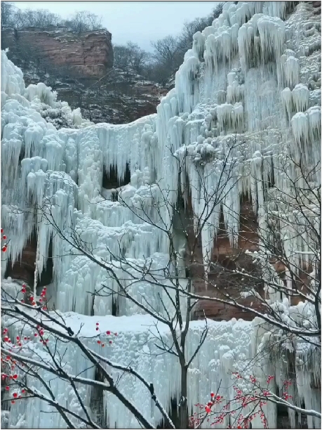冬日邂逅#石家庄 的嶂石岩冻凌背冰瀑，满满的宿命感。太美了