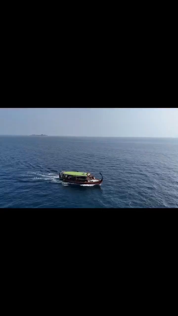 海豚引路，Manta浮潜#潜水 #自由潜水 #潜水考证 #中央格兰德岛