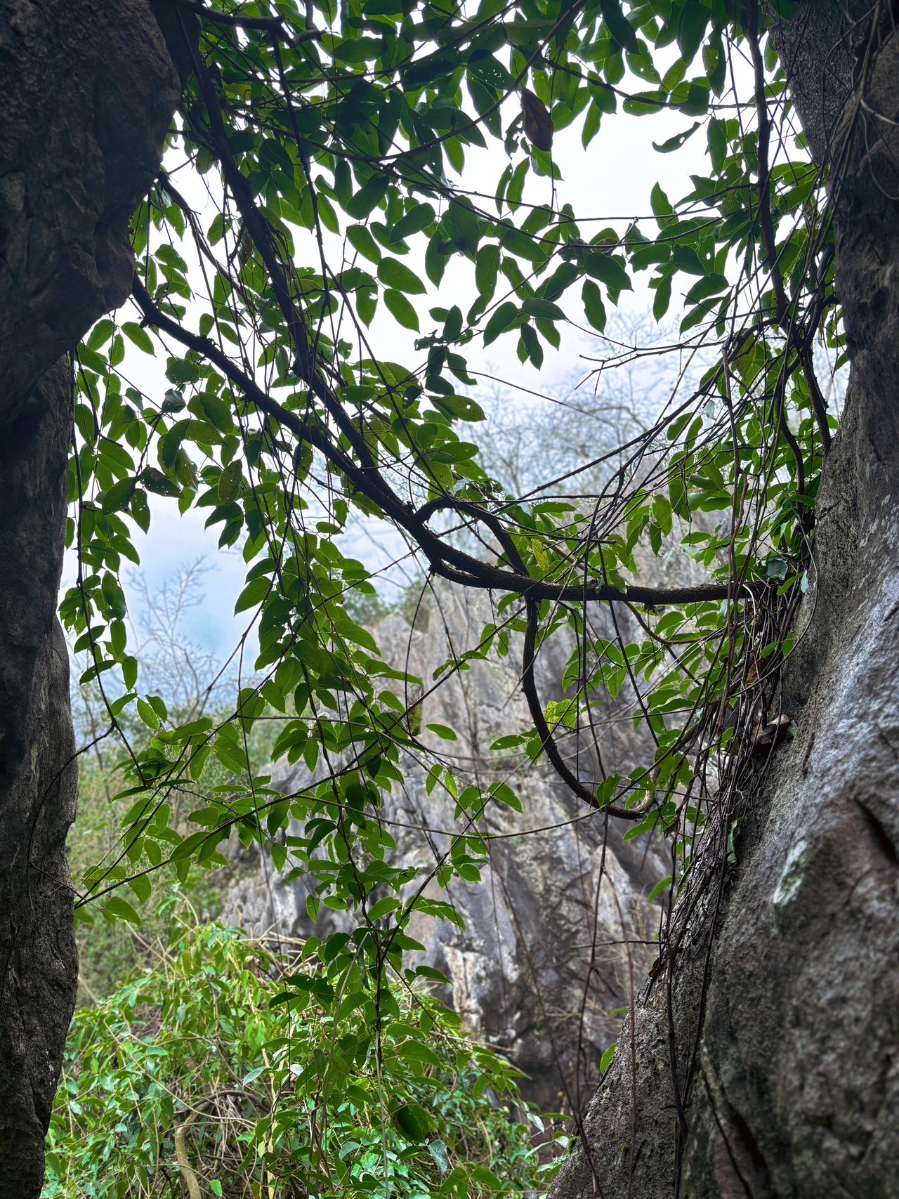 衡阳常宁庙前镇石马国家地质公园，全程徒步小环线约4公里，海拔爬升约300米，怪石嶙峋，曲径通幽。其中