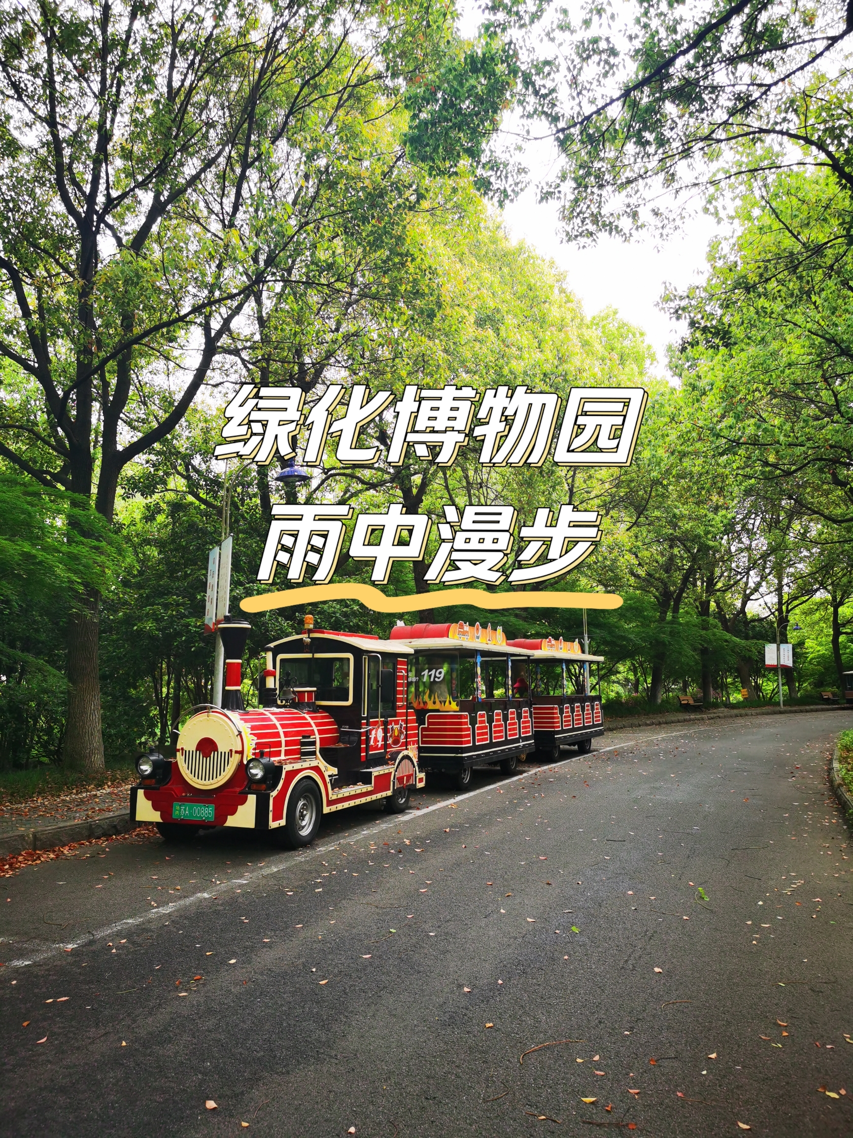 南京绿化博览园赏景漫步