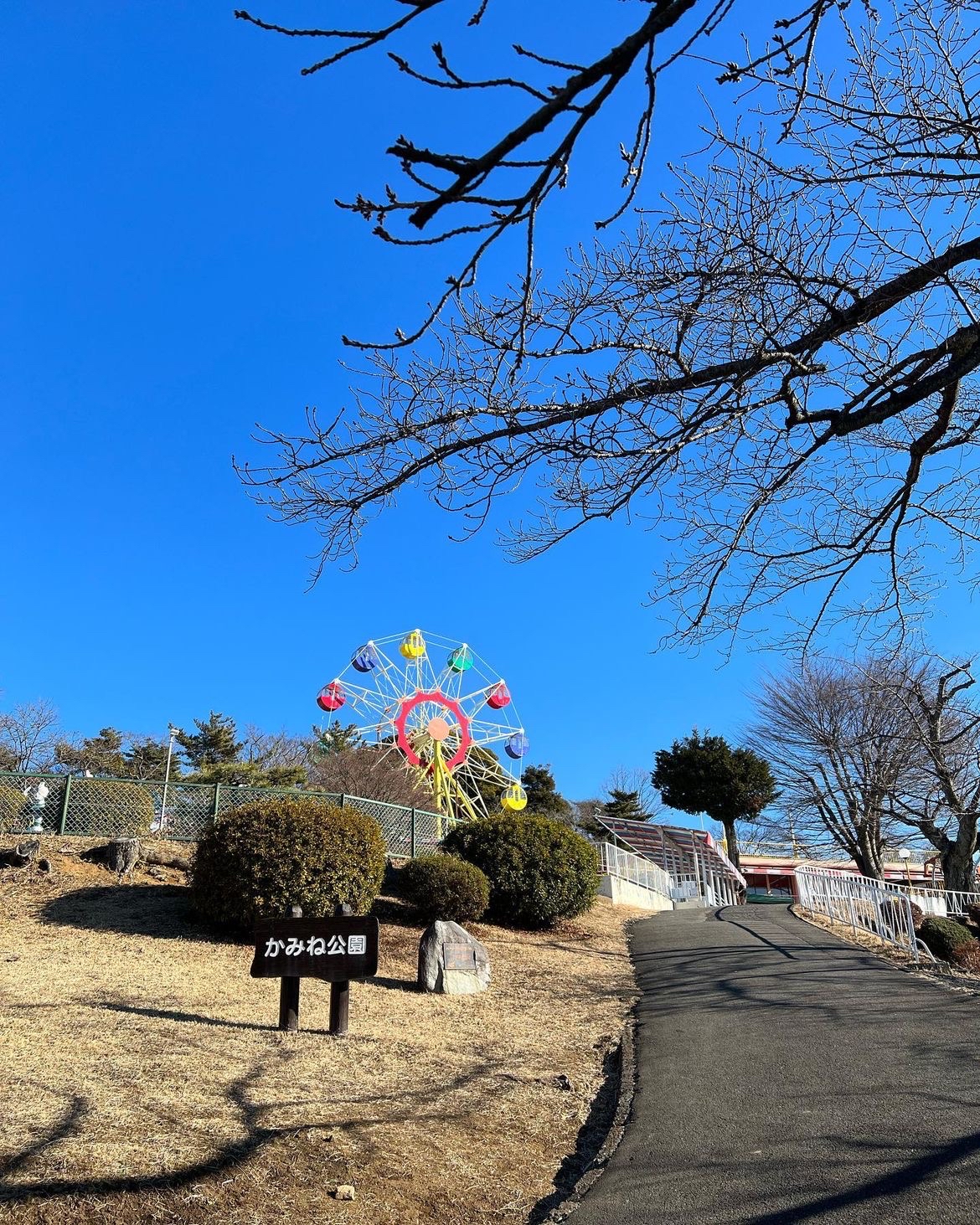 #被低估的遛娃宝地   日立かみね动物园位于茨城县日立市，是一个综合性动物园，提供给访客们亲近动物、