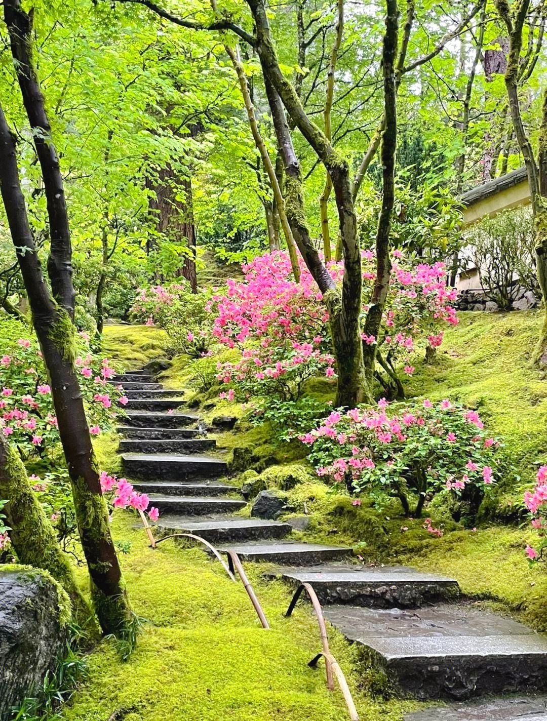 沉浸城区里的绿洲宁静——波特兰日本庭园！