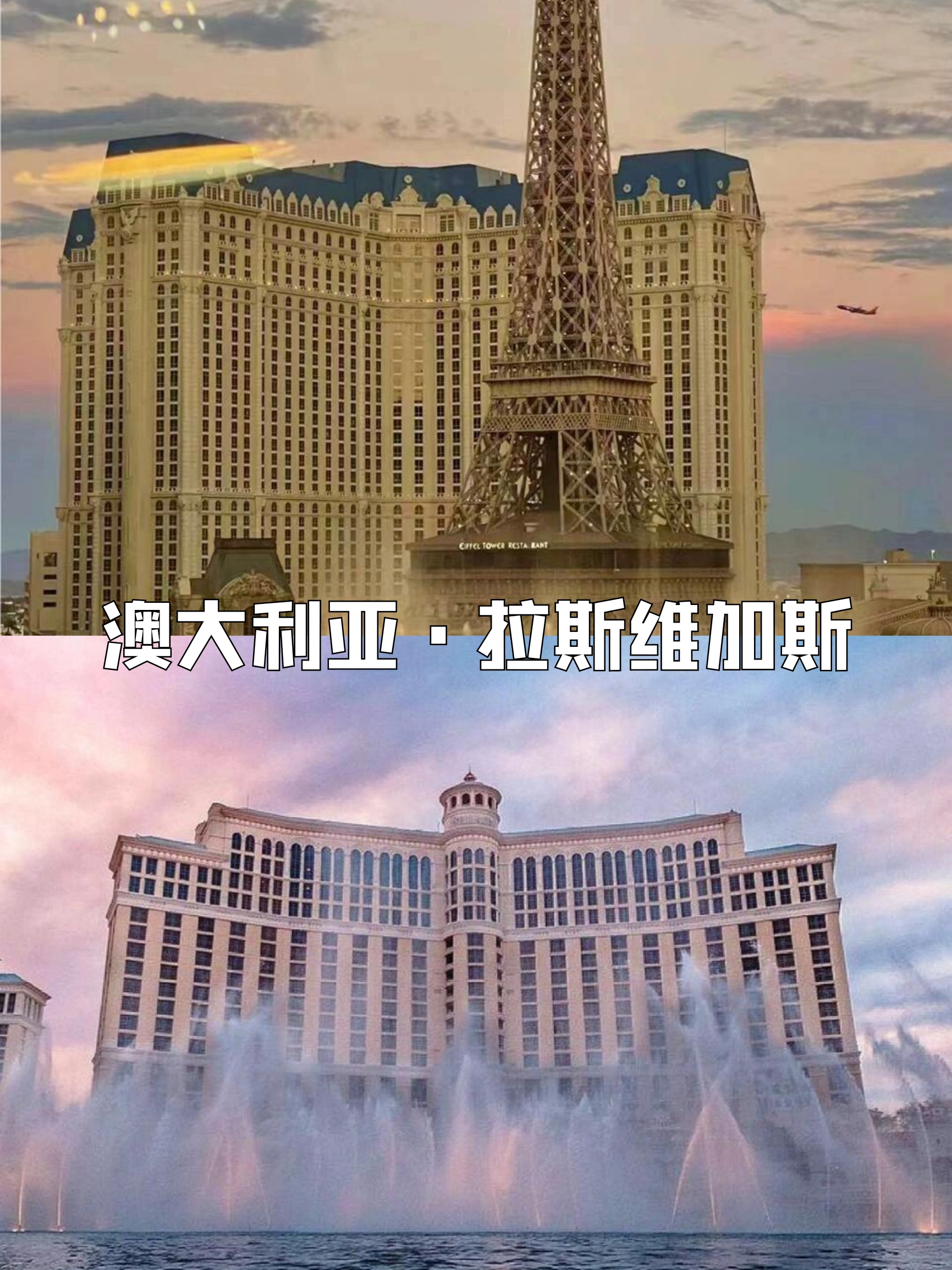 别再问去Las Vegas住哪了😭住这些就够了