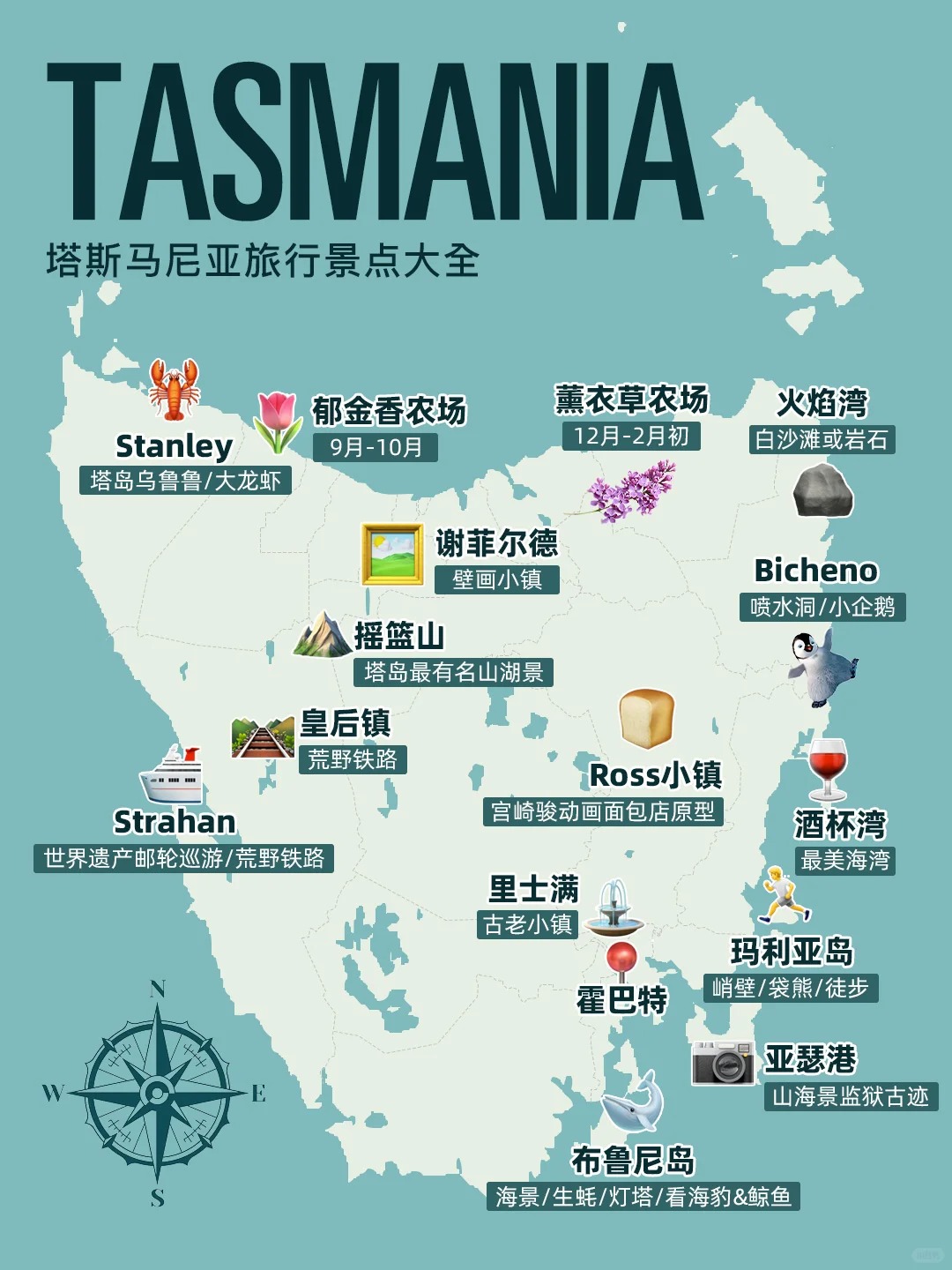 澳洲塔斯马尼亚旅行|盘点地标景点玩法大全