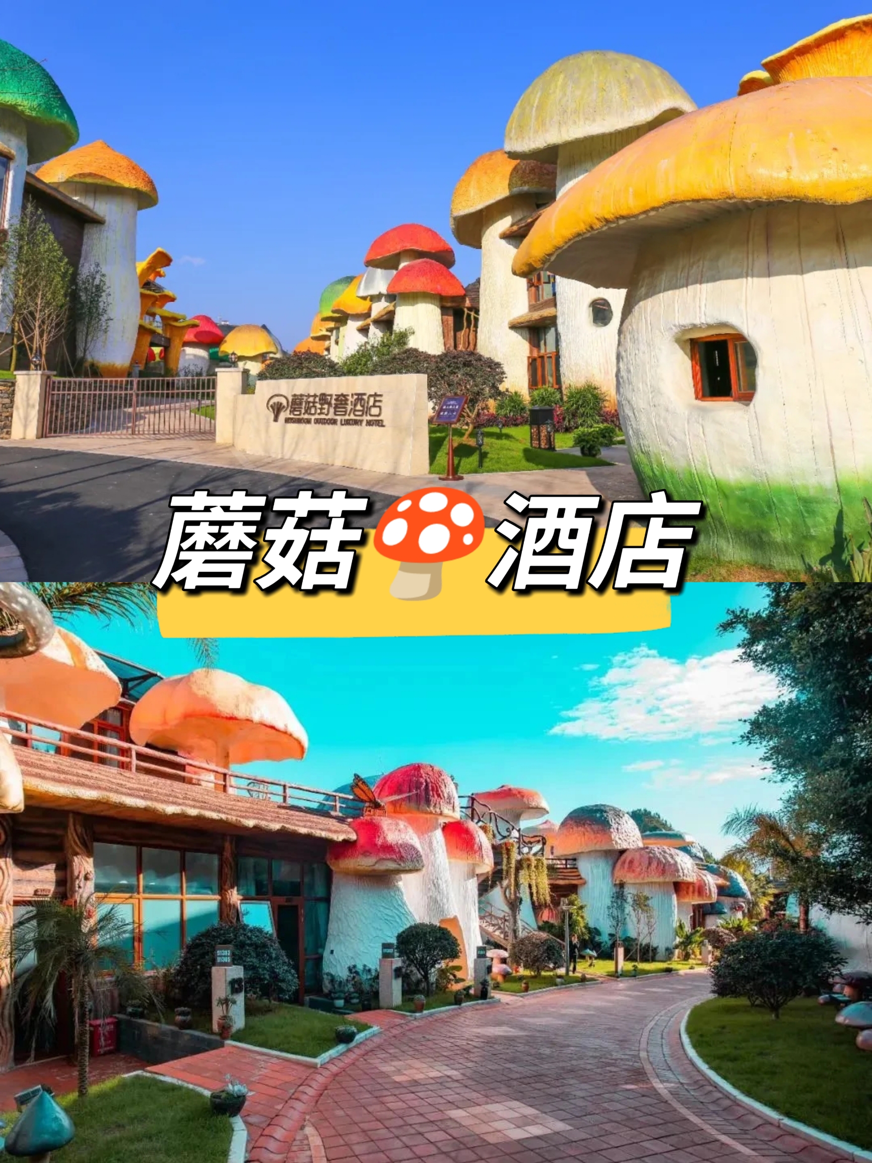 🍄入住蘑菇野奢酒店，走进奇幻童话贵州🍄