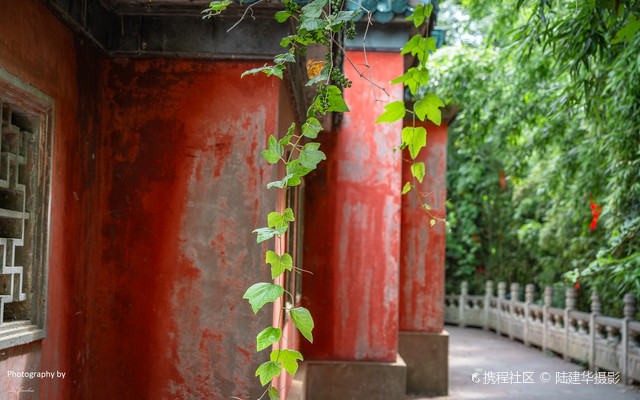 镇江焦山万佛寺