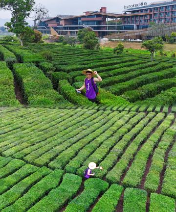 bynaked裸心惠州·博罗图片