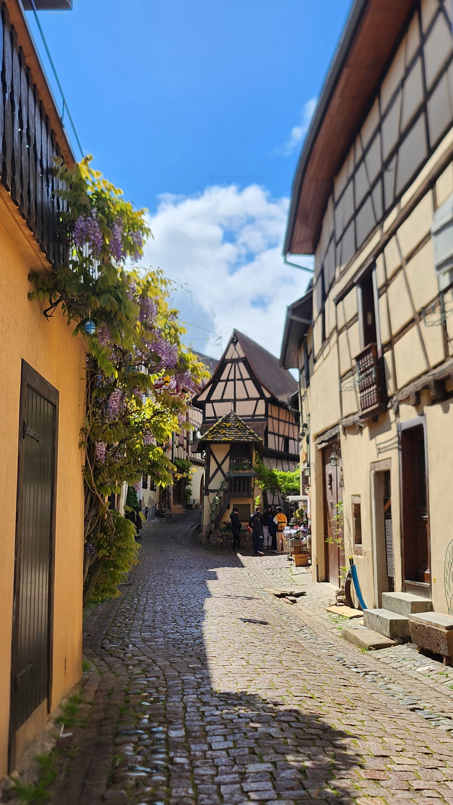 法国最美小镇之一～埃吉桑Eguisheim