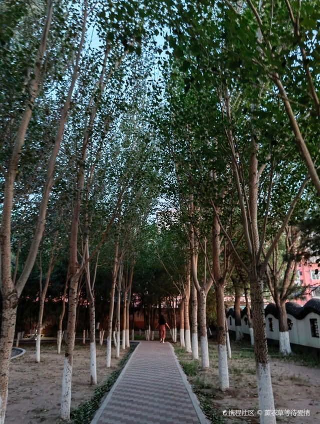 自然之美,尽在其中|打卡通辽人民公园