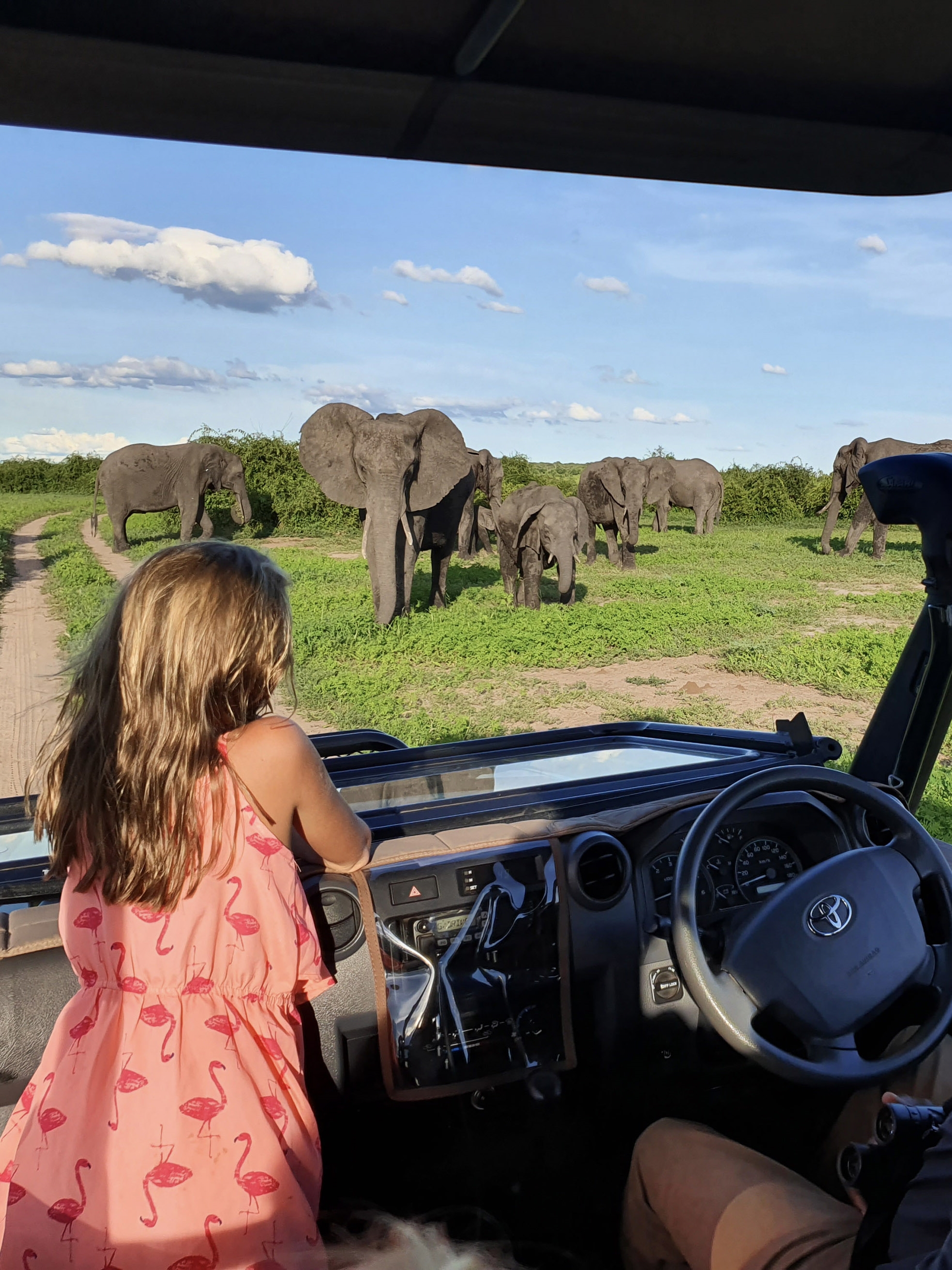 博茨瓦纳为什么是非洲safari天花板?