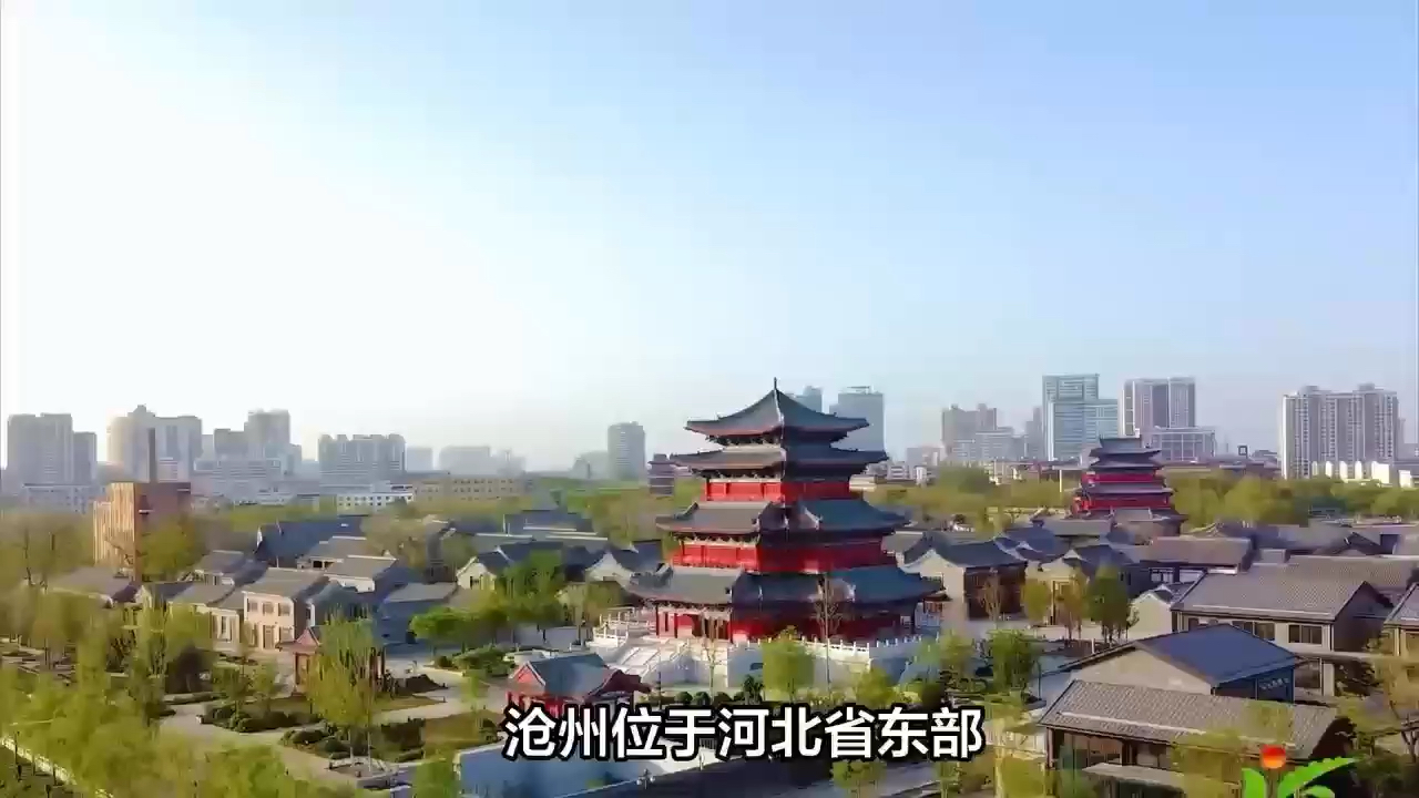 沧州有哪些值得玩的景点